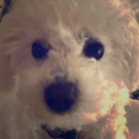 MAKE ME AN OFFER!!! ❤️👗👠 - Picture 3 of 4